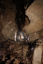 Thumbnail of photo from this article